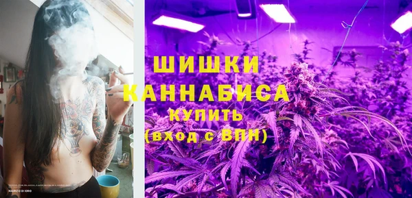 гидра Осинники