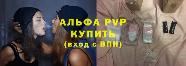 ECSTASY Пересвет