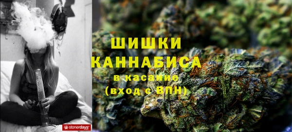 гидра Осинники
