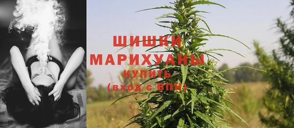 ECSTASY Пересвет