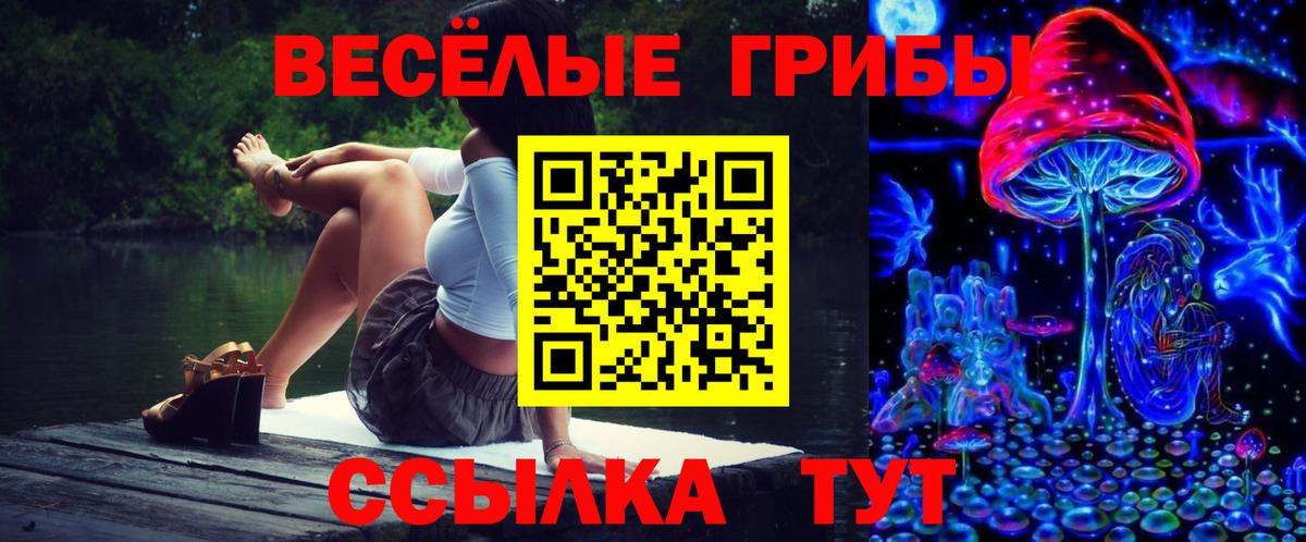 Арсеньев  Галлюциногенные грибы GOLDEN TEACHER  Вход с VPN 